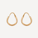 GOLD EARRINGS - T219120